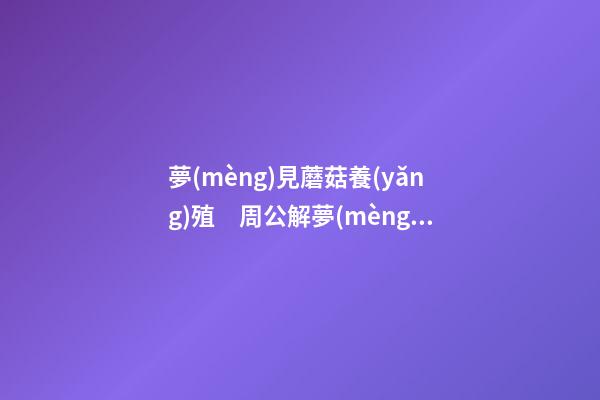 夢(mèng)見蘑菇養(yǎng)殖　周公解夢(mèng)之夢(mèng)到蘑菇養(yǎng)殖